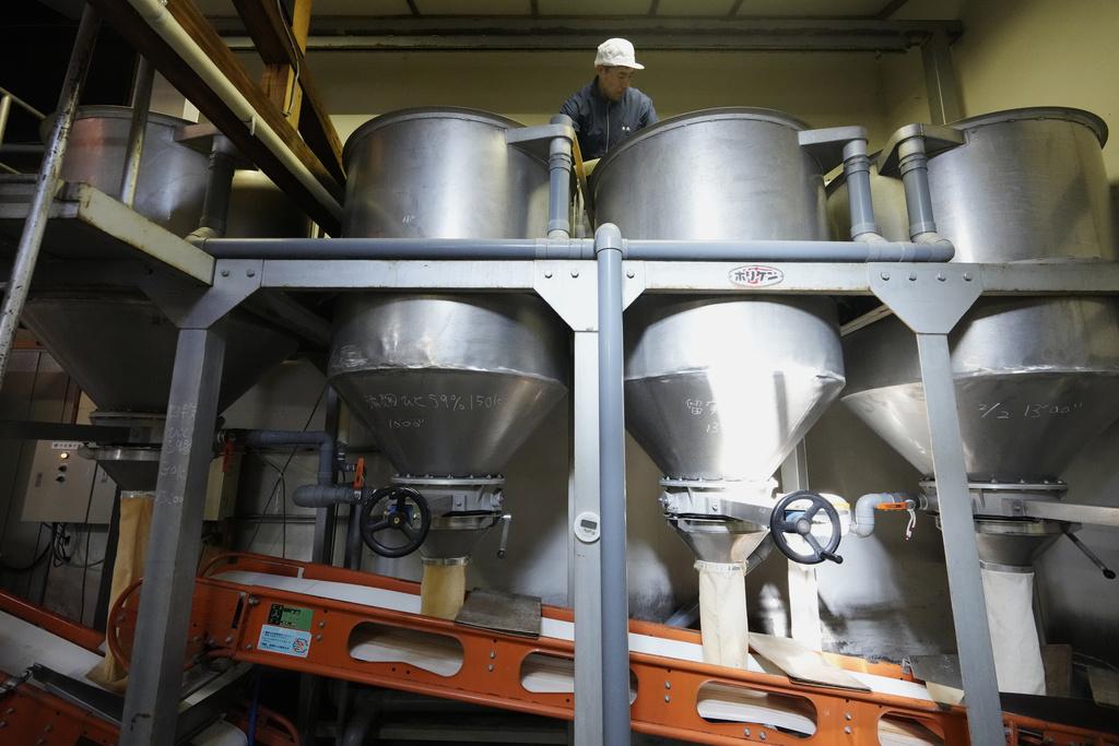 日本清酒釀造。(美聯社)