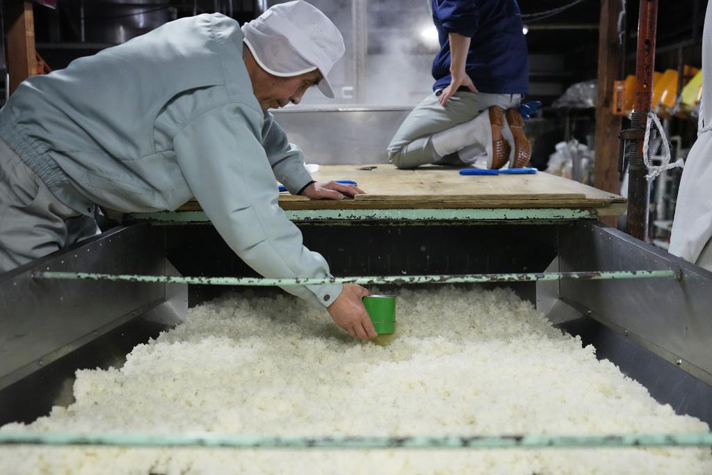 日本清酒釀造。(美聯社)