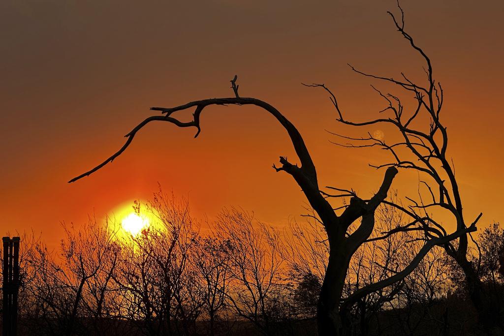 美國南加州森林山火。(美聯社)
