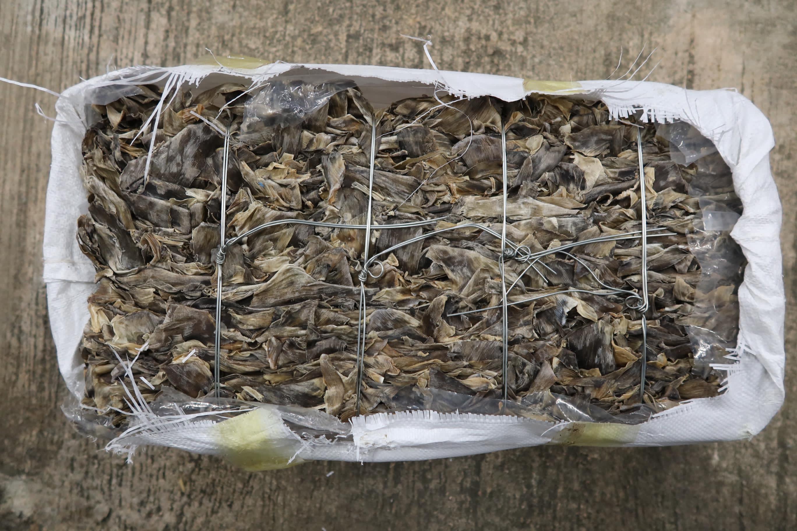 水警西貢反走私檢私家車及乾魚翅 總市值約102萬元(警方圖片)