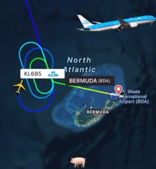 荷航685因豬隻的「特殊氣味」而改道。