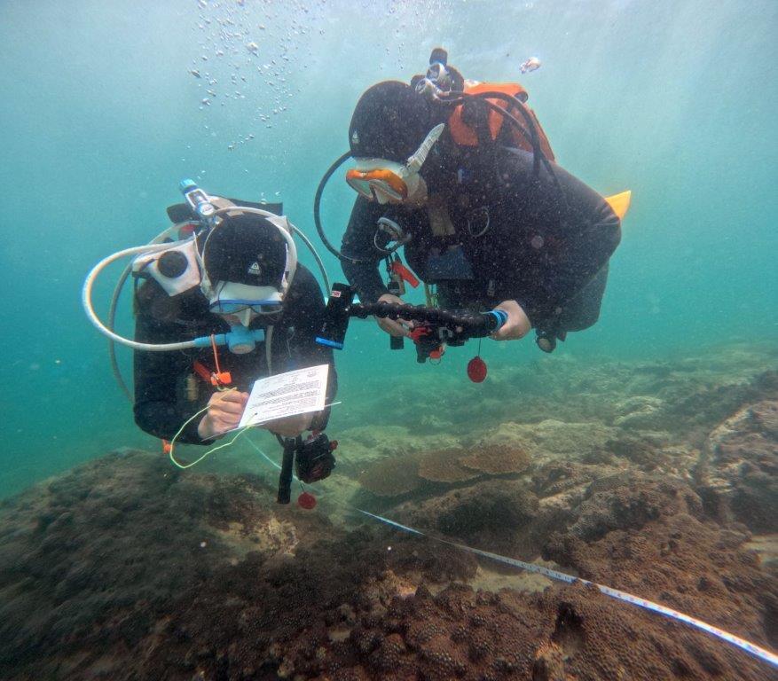 漁護署公布「香港珊瑚礁普查2024」普查結果。