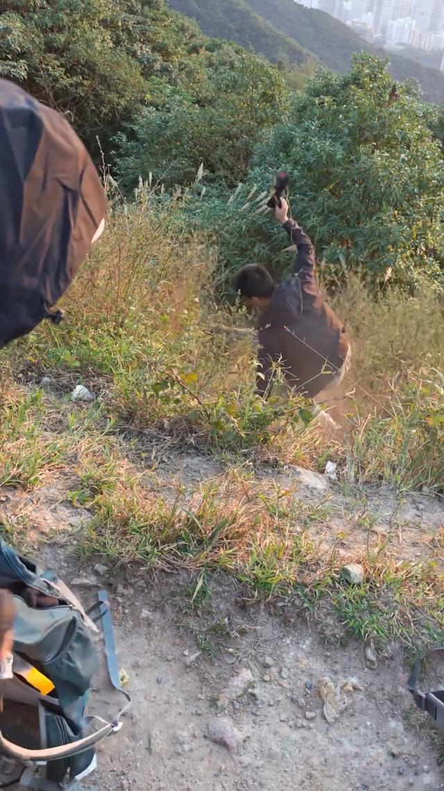 疑內地女行飛鵝山遭野豬搶背囊,男友人陡坡打野豬惹爭議。(網片截圖)