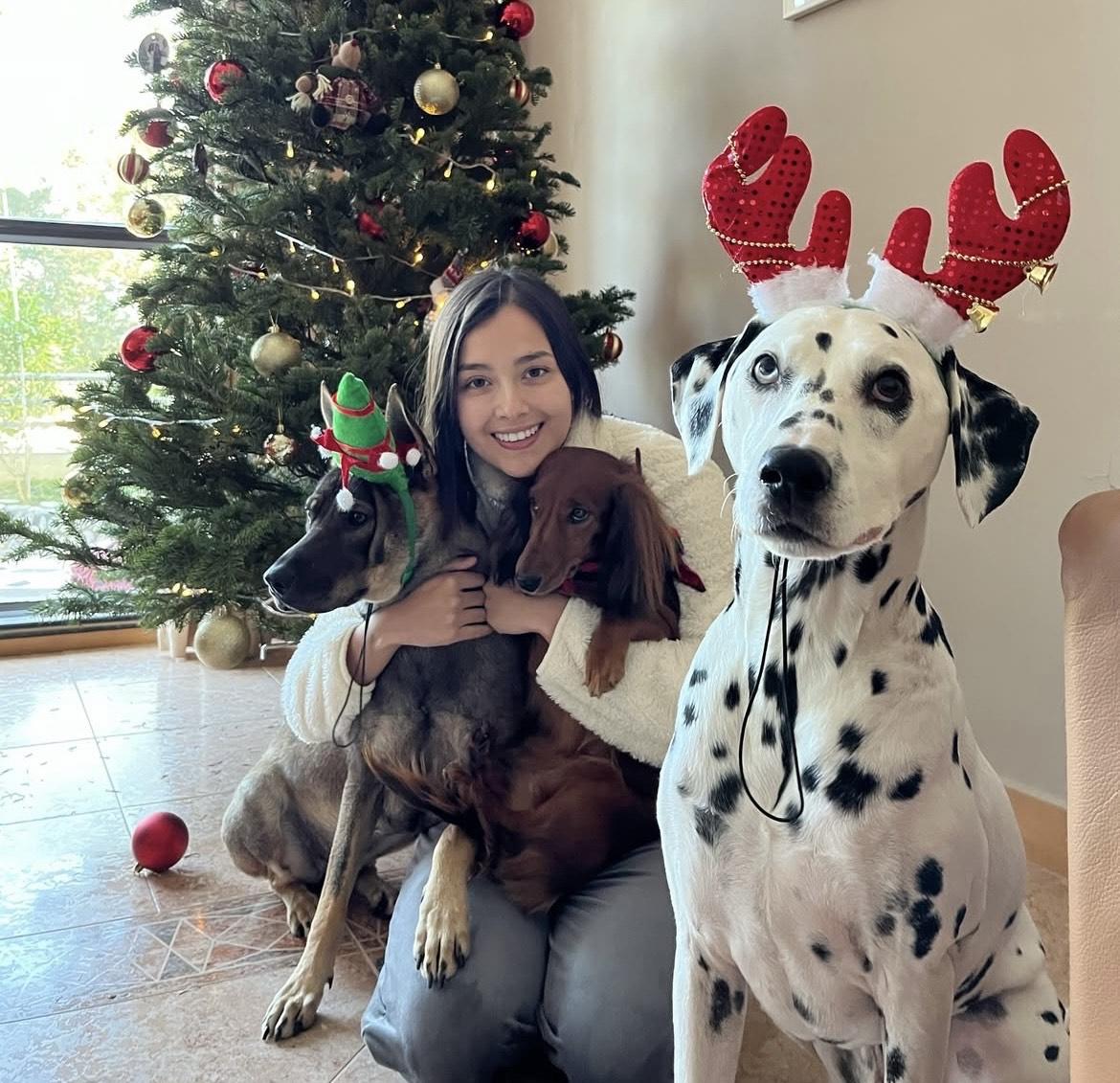 謝嘉怡養有三頭愛犬,分別是Summer、Peachy及Leo,但其中兩隻中毒身亡。