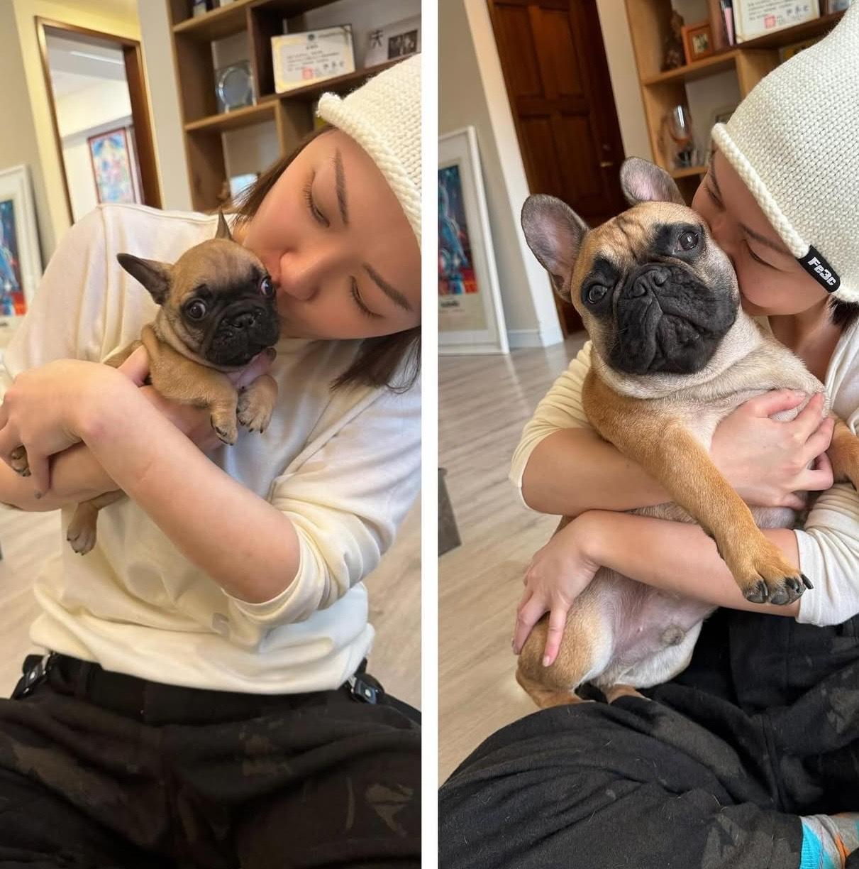 田蕊妮現時已經出院回家休養。