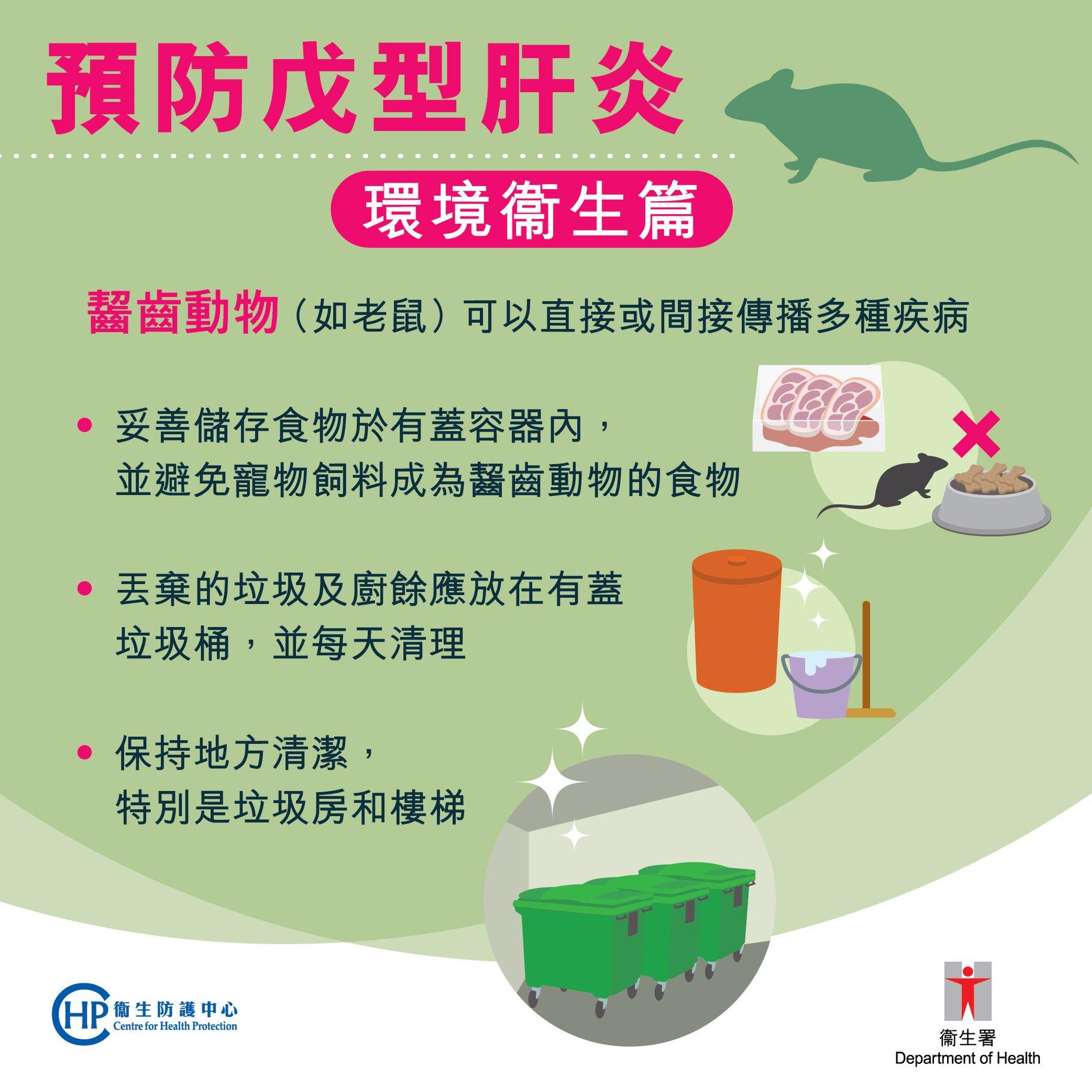 鼠患|戊型肝炎預防,環境衛生篇(衛生防護中心)