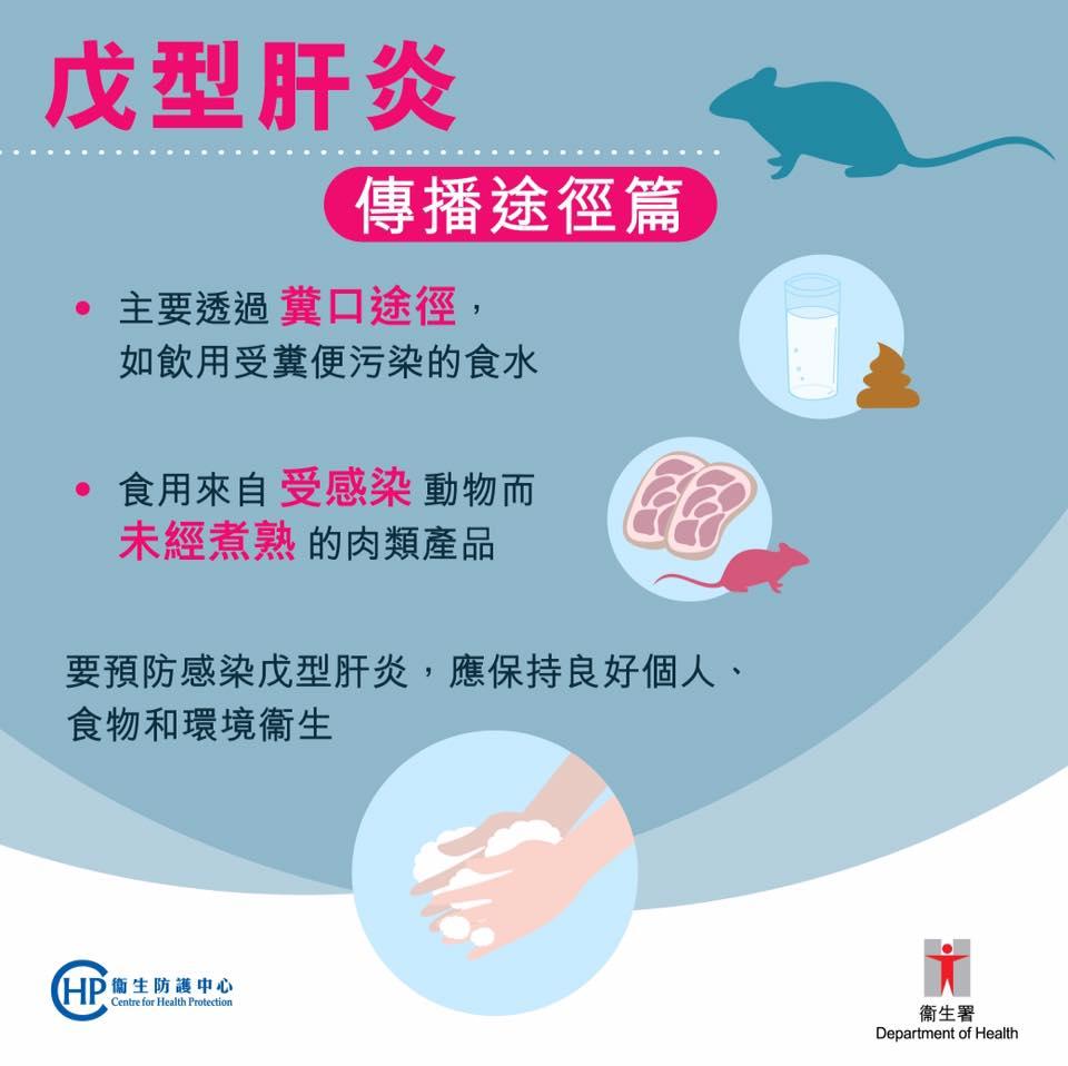 鼠患|戊型肝炎預防,傳播途徑篇(衛生防護中心)