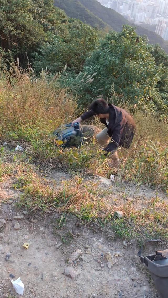 疑內地女行飛鵝山遭野豬搶背囊,男友人陡坡打野豬惹爭議。(網片截圖)