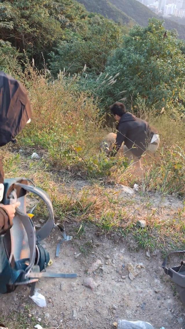 疑內地女行飛鵝山遭野豬搶背囊,男友人陡坡打野豬惹爭議。(網片截圖)