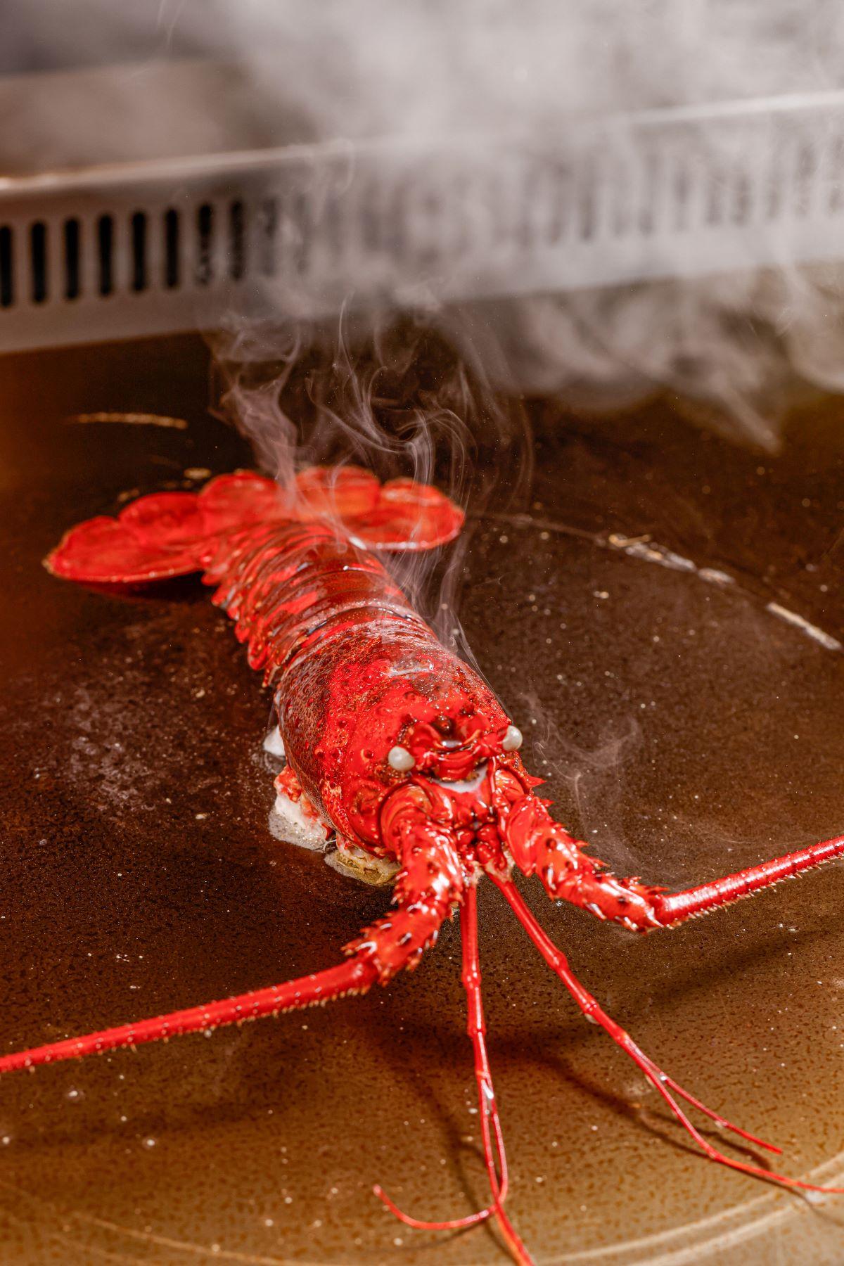 鐵板燒日本伊勢龍蝦