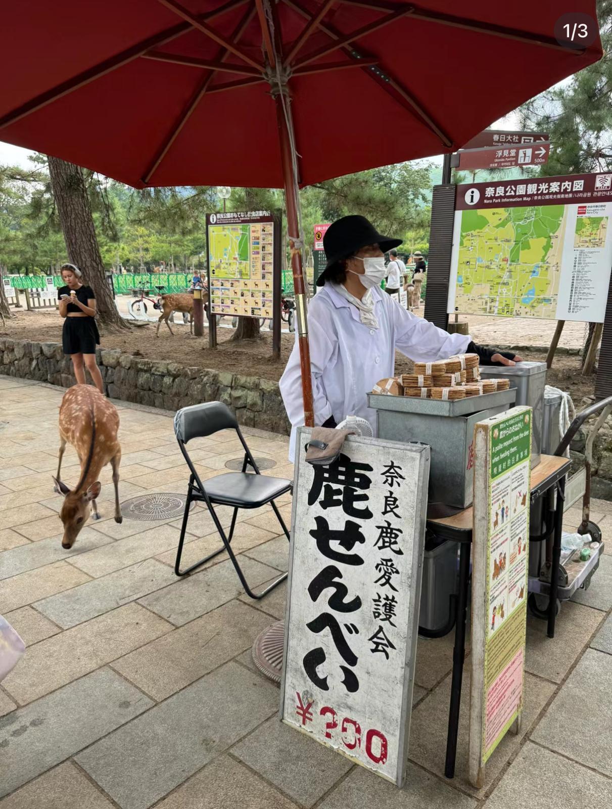 圖片來源:小紅書