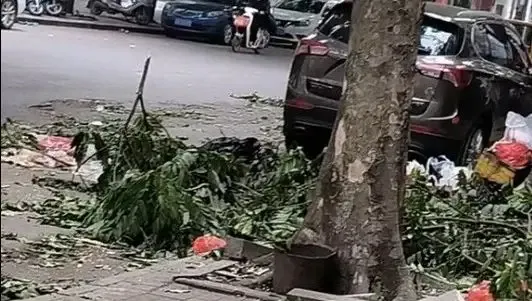 廣西南寧街邊有大量樹葉,因罷工兩日而無人清除。