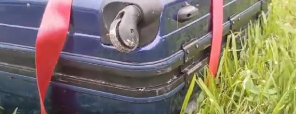 大量蛆蟲從行李箱縫隙爬出,有蒼蠅飛來飛去,十分恐怖。(互聯網)