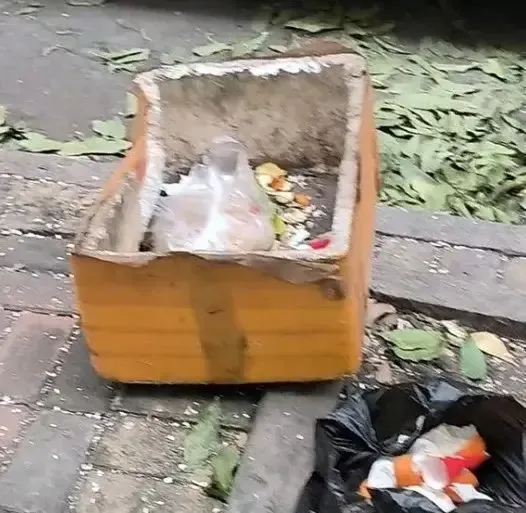 有人把一整個盒放在路上。