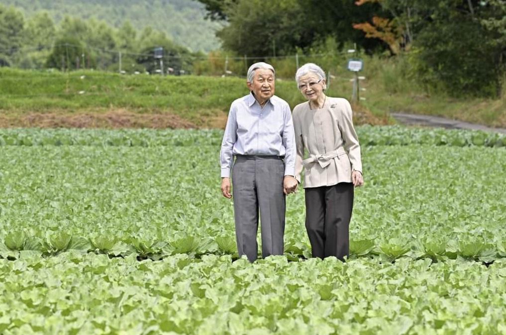 日本上皇明仁與上皇后美智子過著規律且平靜的生活。圖為兩人在美智子骨折受傷前的合照。(互聯網)