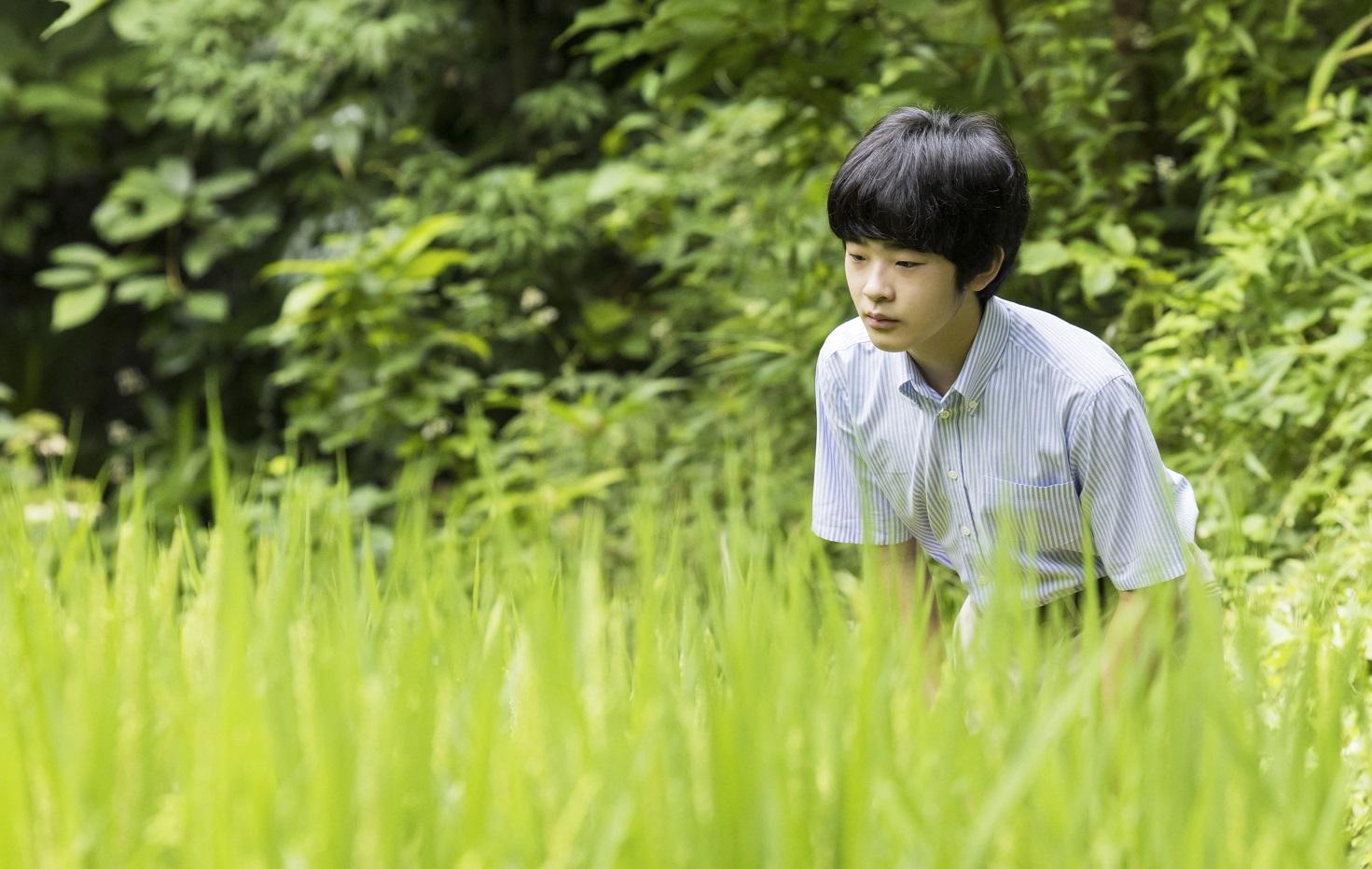 悠仁自小對蜻蜓有濃厚興趣,這些年來持續參與棲息環境等調查研究。(互聯網)