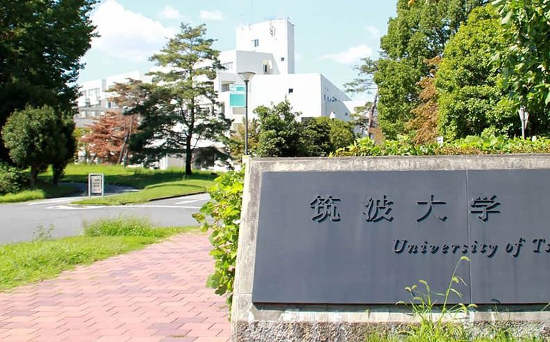 位於茨城縣的國立筑波大學。(互聯網)