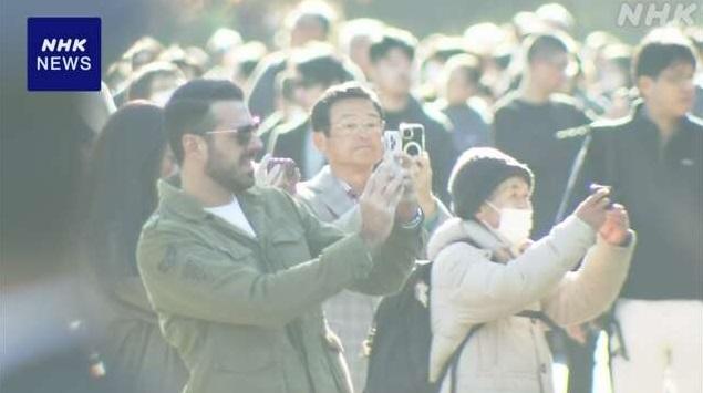民眾前去東京皇居乾通欣賞紅葉,取景打卡。(互聯網)