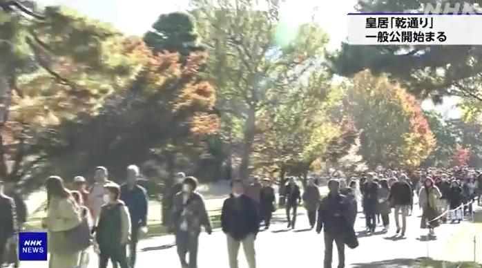 東京皇居乾通部分樹轉紅。(互聯網)