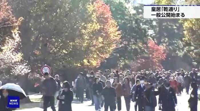 民眾前去東京皇居乾通欣賞紅葉。(互聯網)