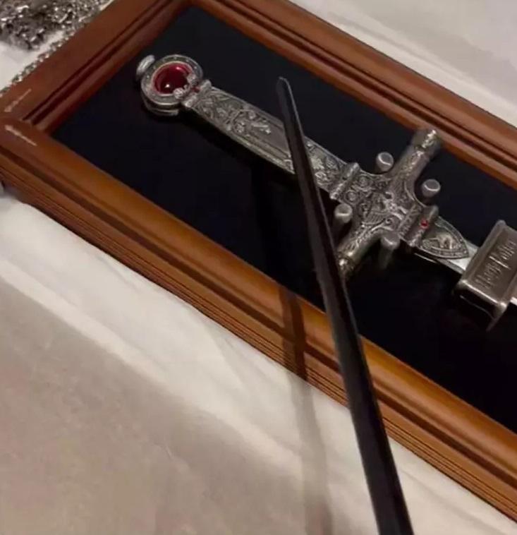 日本警方指劍尖過於鋒利。(互聯網)