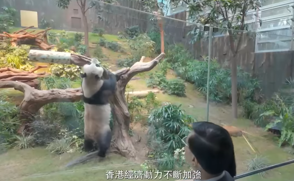 李家超發表新年賀詞:2025年聚焦改革求變、改善民生 (@fb李家超 John KC Lee 影片截圖)