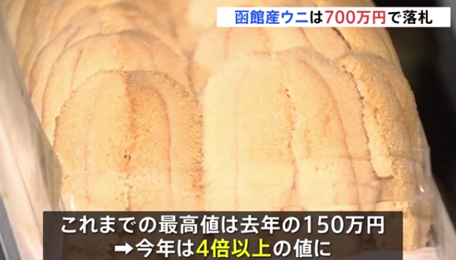 東京豐洲市場新年拍賣出現「天價」海膽,約400克700萬日圓(約35萬港元)成交。(互聯網)