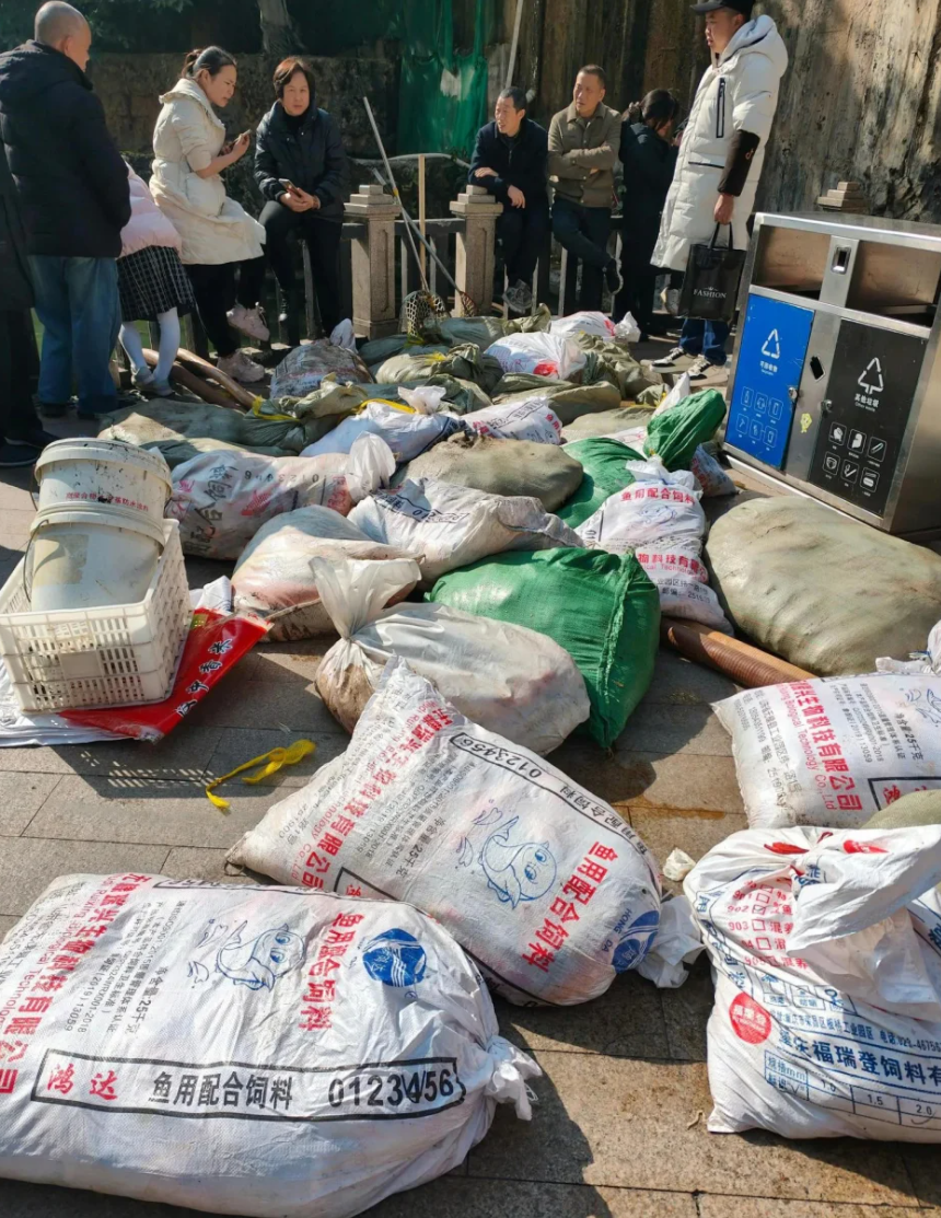 重慶觀音橋步行街的觀賞魚近日疑遭投毒,一夜之間出現大量死亡,死魚裝滿30多個麻袋。(小紅書)