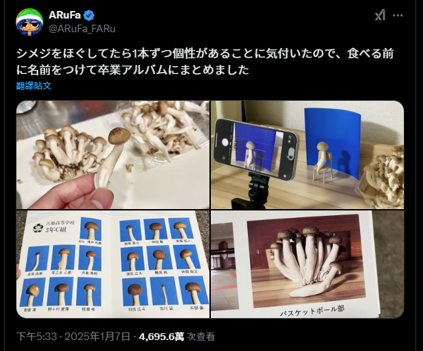 鴻禧菇畢業紀念冊