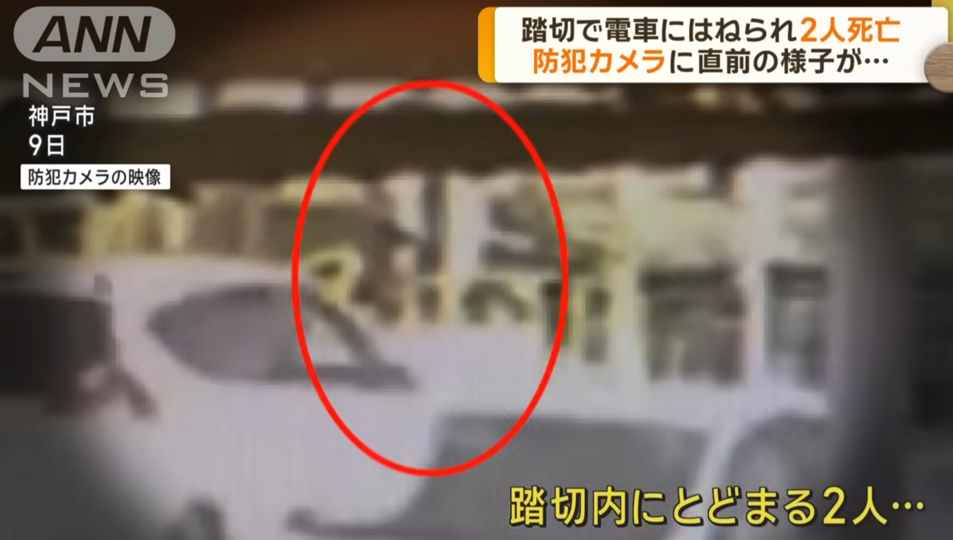 兩名中國遊客站在欄桿內。(影片截圖)