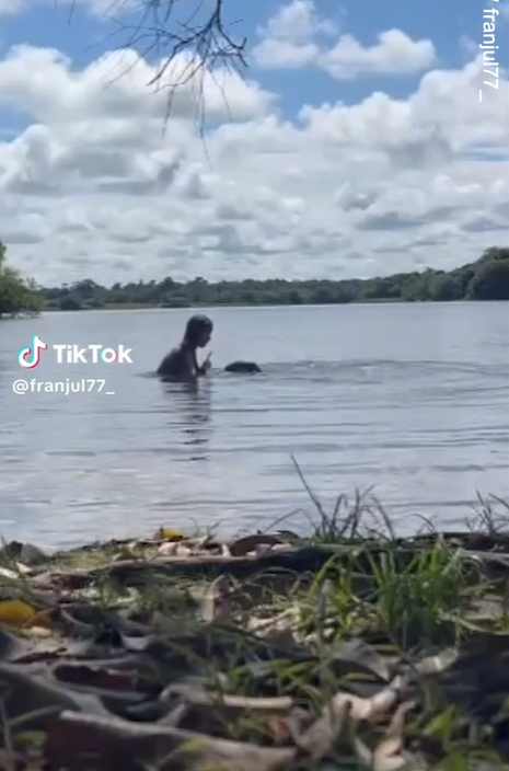 水豚咬人。(互聯網)