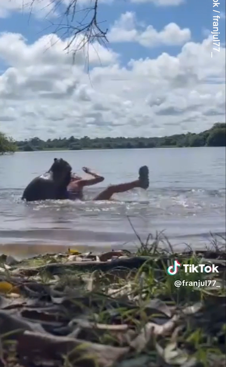 水豚咬人。(互聯網)