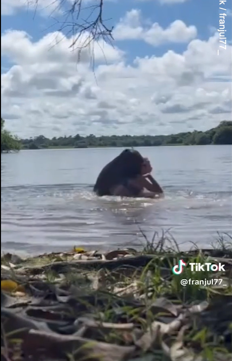 水豚咬人。(互聯網)