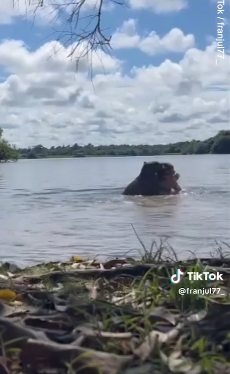 水豚咬人。(互聯網)