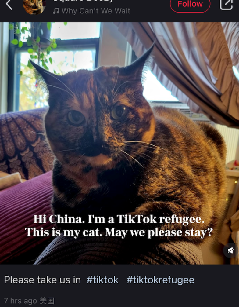 「TikTok難民」美國用戶近日湧入中國另一社交平台「小紅書」(英文稱REDnote),引發大量中美網民直接交流的罕見現象。(網上圖片)