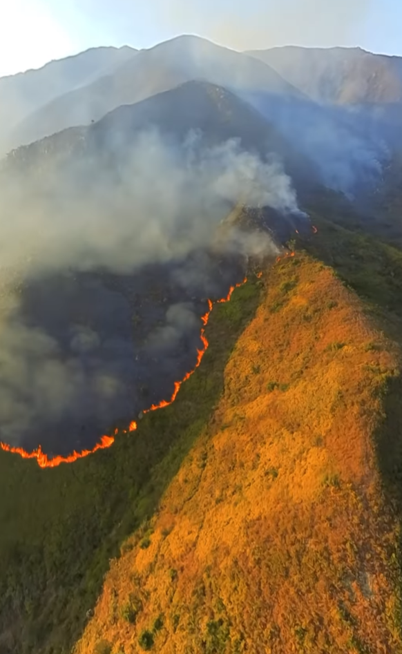 雞公嶺山火|政府飛行服務隊在Instagram發佈第一視角的灌救影片