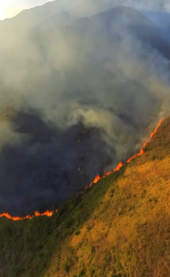 雞公嶺山火|政府飛行服務隊在Instagram發佈第一視角的灌救影片