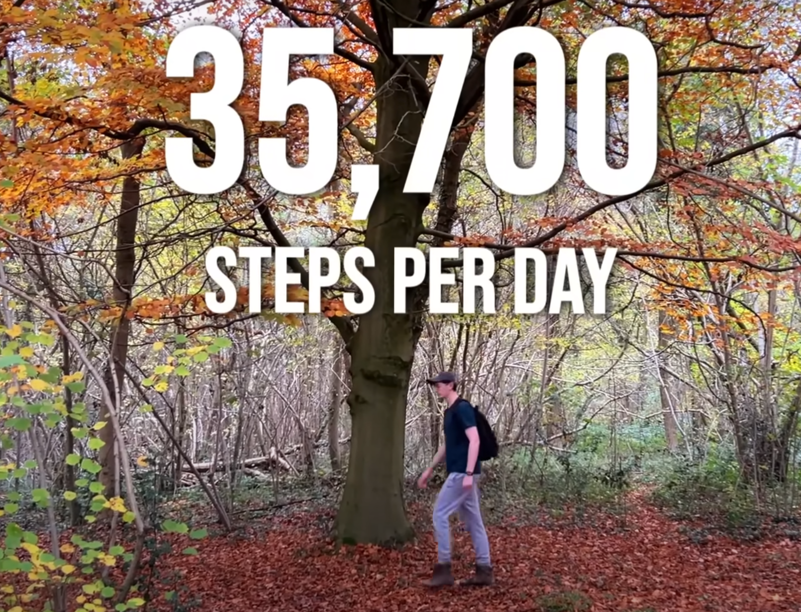 威爾許去年11月初在短短7天內總共步行了25萬步,平均每天步行35,700步