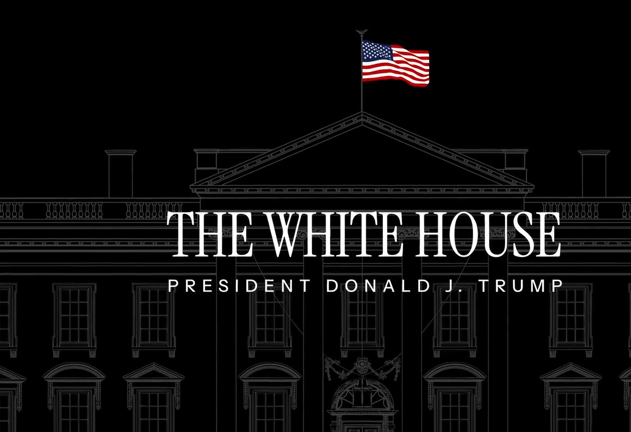 進入網站片段截圖。(互聯網)