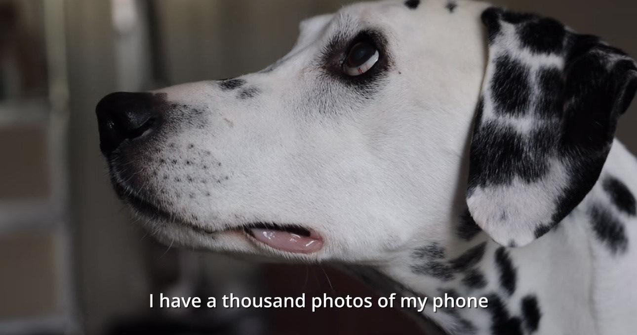 Leo似乎已經完全康復。