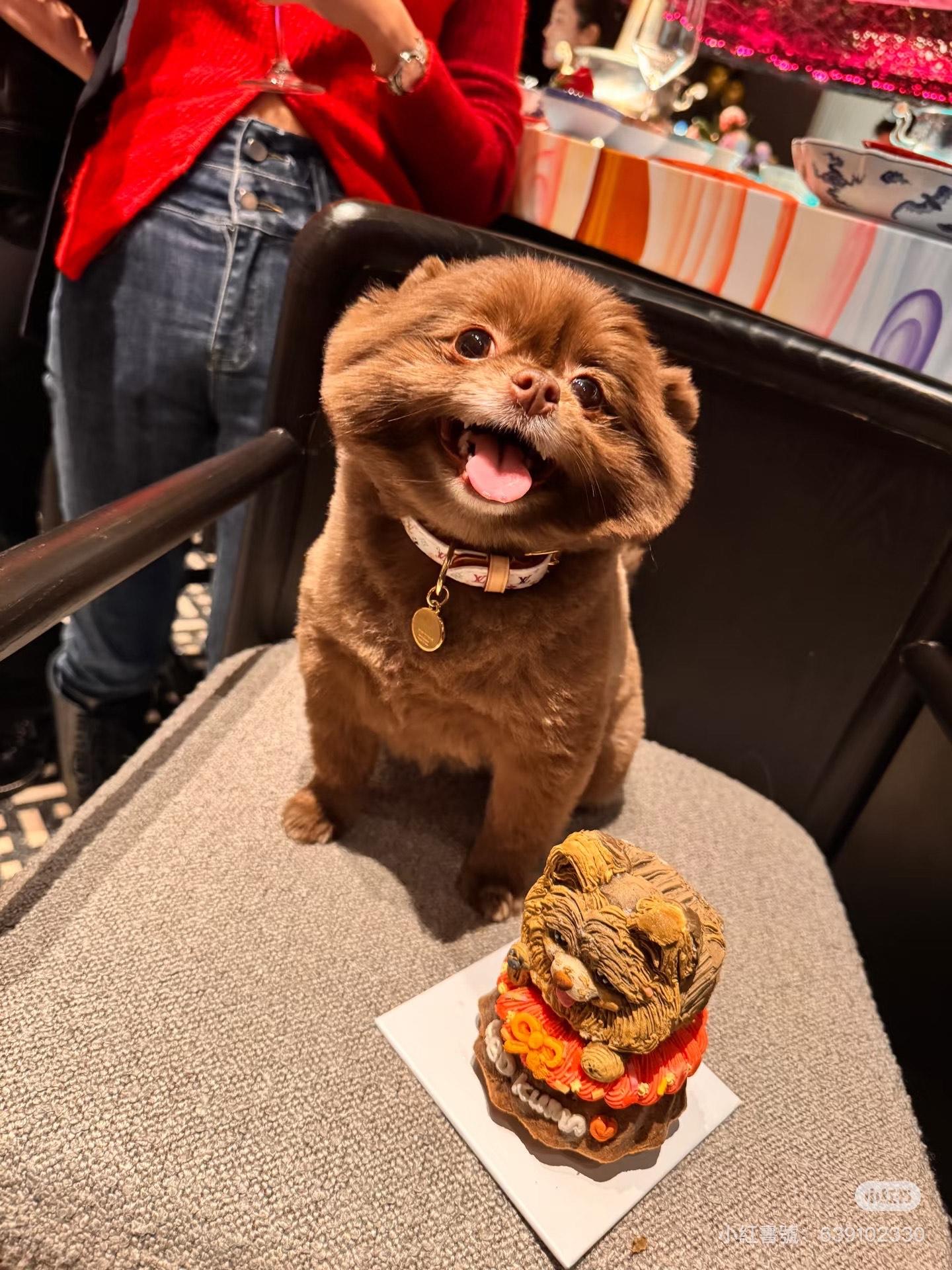 鍾欣潼為愛犬搞生日派對。