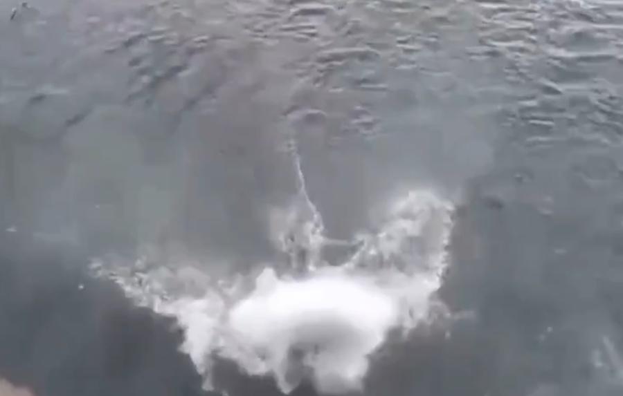 Singh跳下在水面擊出巨大水花後,便漂在水面沒有動靜,疑似被水面撞擊拍暈。(X)