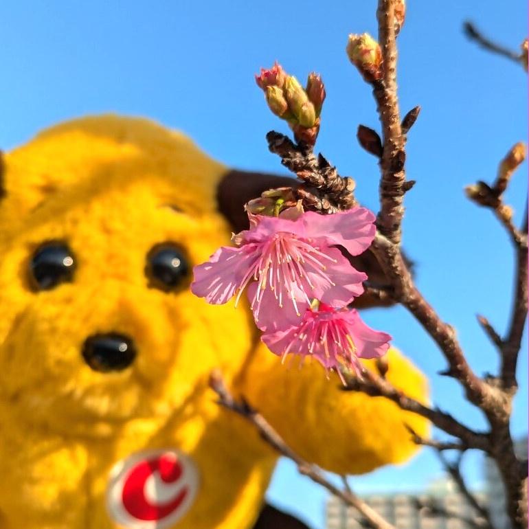 「海關君」的周邊產品過去只在公活動中免費發放。(IG)