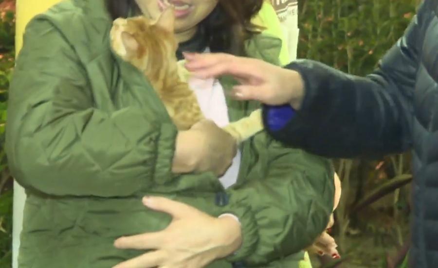 有居民帶同寵物一同逃生。(有線新聞截圖)