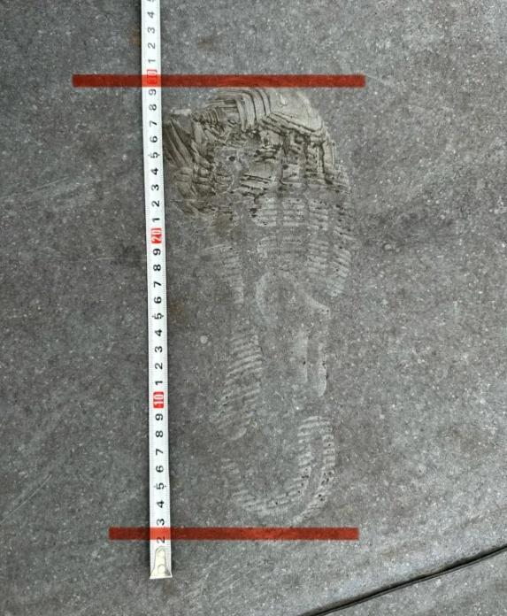 Shafira Huang家提供相關相片,包括疑犯外貎及腳印。(X)