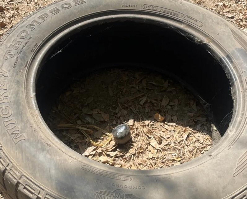 Talaengjit一看便察覺那是土制炸彈,於是立即將它放進汽車輪胎,報警處理。(X)