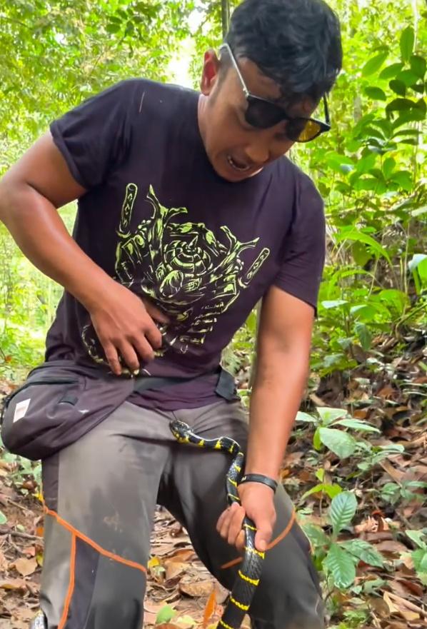 Anggara Shoji的下體上有一條黑黃斑蚊的蛇,該蛇緊緊咬住他的生殖器,還纏著他的右腳。(IG)