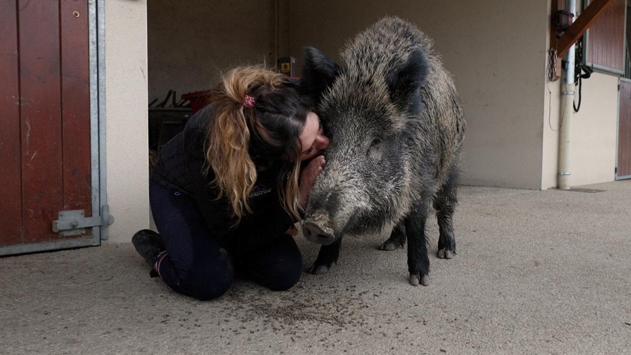 Elodie認為「肉醬」屬於這裡。(X)