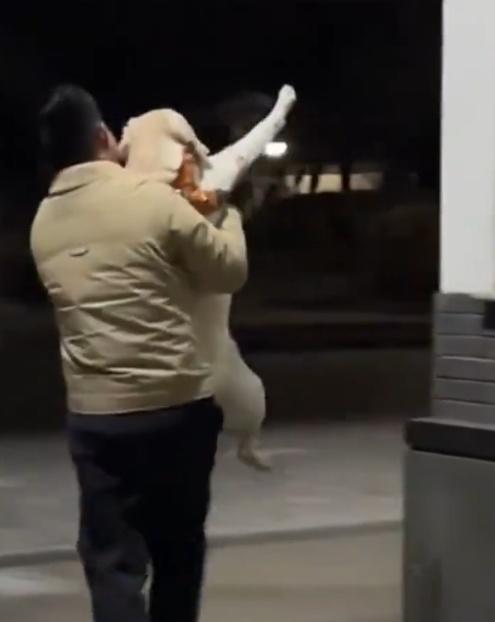 保安看到狗狗後,又似乎識別到住戶的身份,迅速將閘打開,讓狗狗的主人順利回家。(微博)