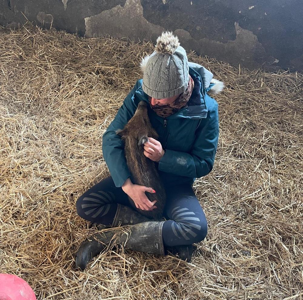 Elodie Cappe於2023年4月在馬場外發現了「肉醬」,當時「肉醬」還只是一隻小豬。(X)